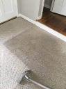 Carpet Cleaning Dulwich Hill logo